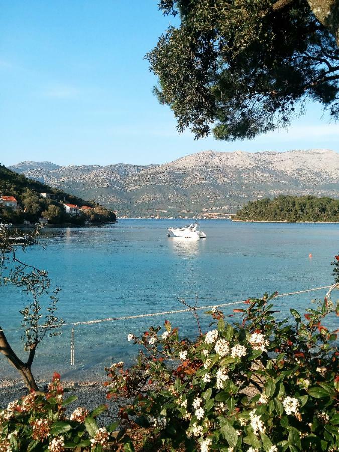 Apartments Milea Korcula Town Exterior photo